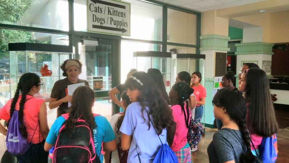 girl zone works to prevent the summer slide sa2020 zone works